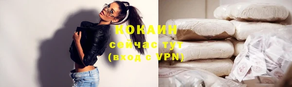 ГАЛЛЮЦИНОГЕННЫЕ ГРИБЫ Гусь-Хрустальный