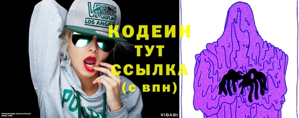 ГАЛЛЮЦИНОГЕННЫЕ ГРИБЫ Гусь-Хрустальный