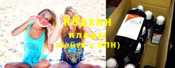 ГАЛЛЮЦИНОГЕННЫЕ ГРИБЫ Гусь-Хрустальный