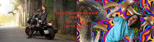 прущая мука Гусев