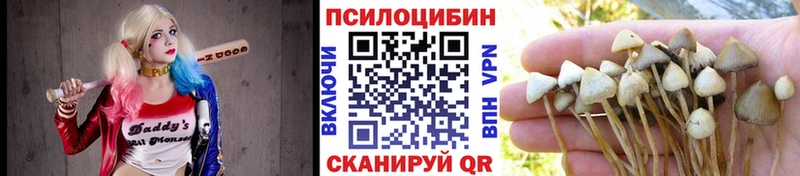Купить закладки  Малоархангельск  Галлюциногенные грибы Psilocybine cubensis 